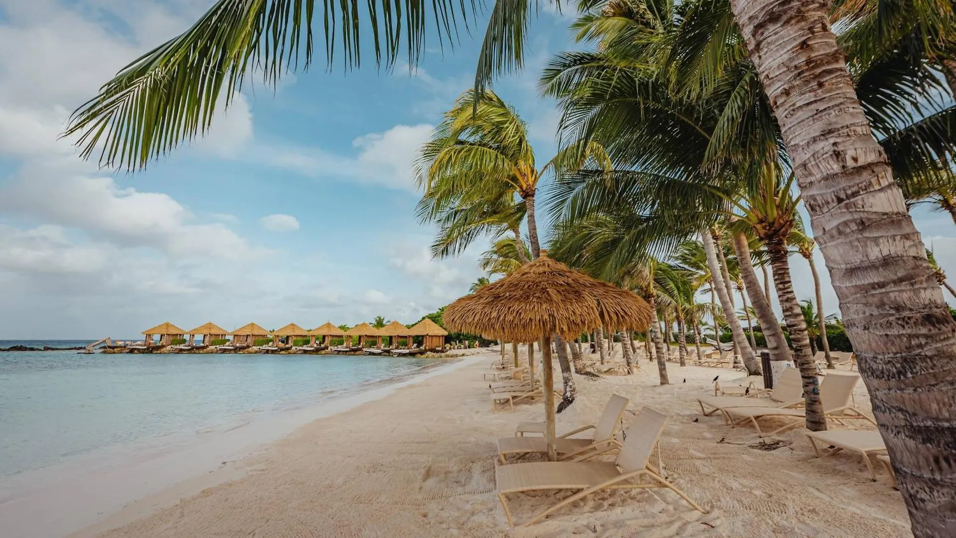 Renaissance Wind Creek Aruba Resort Oranjestad 4*,